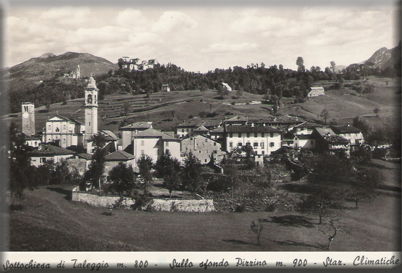 Taleggio